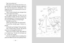 Alternative view 10 of Nick and Tesla and the High-Voltage Danger Lab: A Mystery with Gadgets You Can Build Yourself