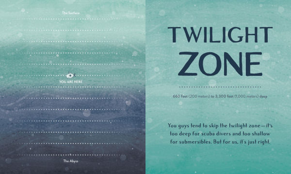 Leaving the Ocean Was a Mistake: Life Lessons from Sixty Sea Creatures