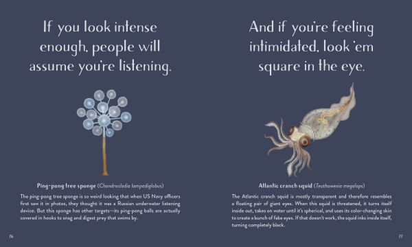 Leaving the Ocean Was a Mistake: Life Lessons from Sixty Sea Creatures