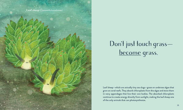 Leaving the Ocean Was a Mistake: Life Lessons from Sixty Sea Creatures