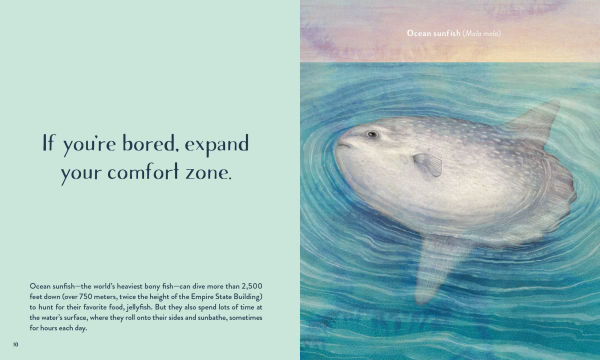 Leaving the Ocean Was a Mistake: Life Lessons from Sixty Sea Creatures