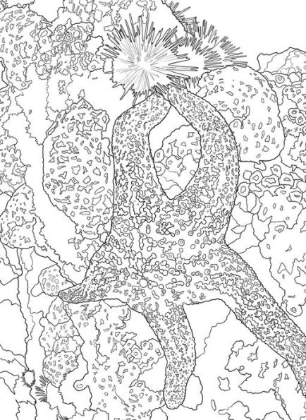 The National Parks Postcard Coloring Book: 20 Colorable Postcards of America's National Parks