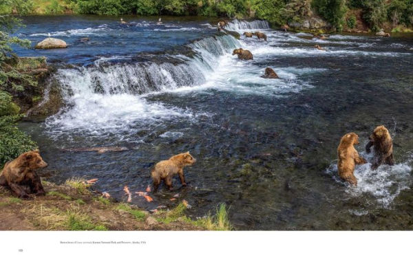 Wild Lives: The World's Most Extraordinary Wildlife