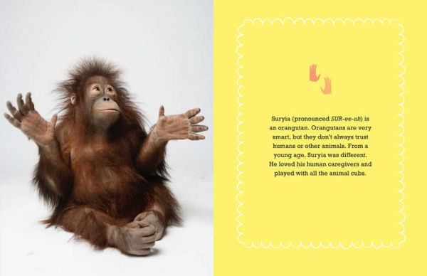 Suryia: An Orangutan's Story