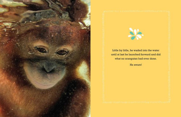 Suryia: An Orangutan's Story