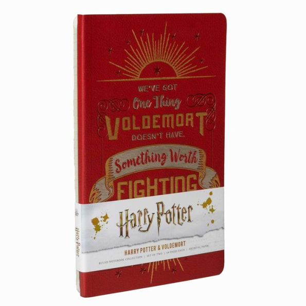 Harry Potter: Character Notebook Collection (Set of 2): Harry Potter and Voldemort