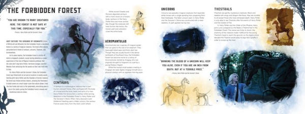 Harry Potter: Creatures: A Paper Scene Book