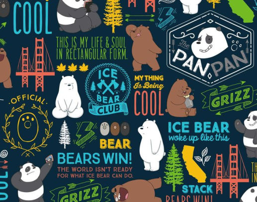 we bare bears barnes and noble