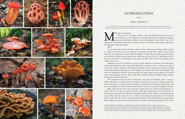 Fantastic Fungi: How Mushrooms Can Heal, Shift Consciousness, and Save the Planet