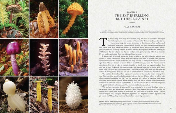 Fantastic Fungi: How Mushrooms Can Heal, Shift Consciousness, and Save the Planet