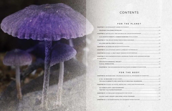 Fantastic Fungi: How Mushrooms Can Heal, Shift Consciousness, and Save the Planet