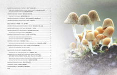 Alternative view 10 of Fantastic Fungi: How Mushrooms Can Heal, Shift Consciousness, and Save the Planet