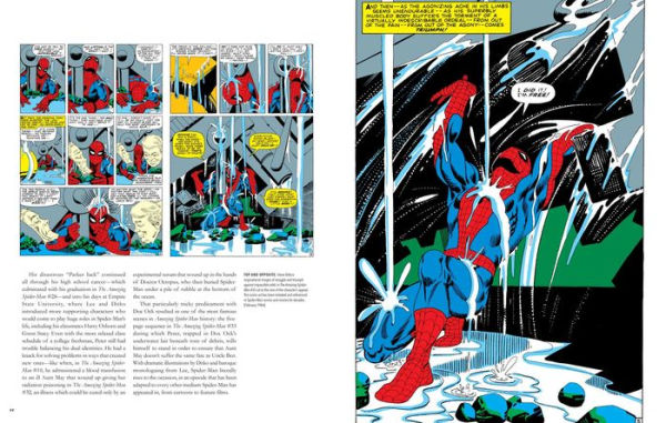 Marvel's Spider-Man: From Amazing to Spectacular: The Definitive Comic Art Collection