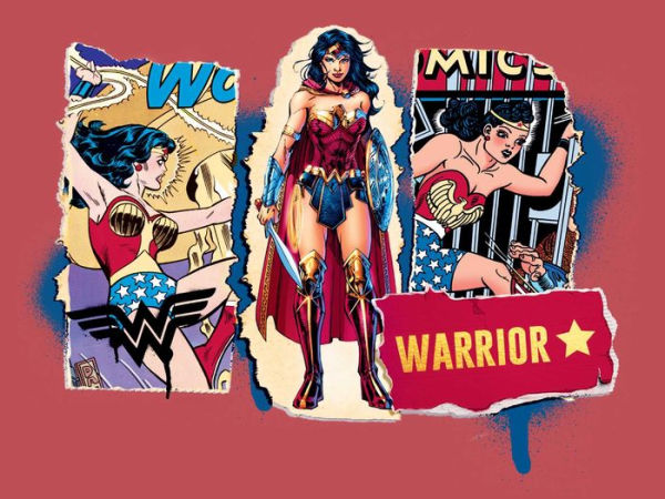 DC Comics: Wonder Woman Blank Boxed Note Cards