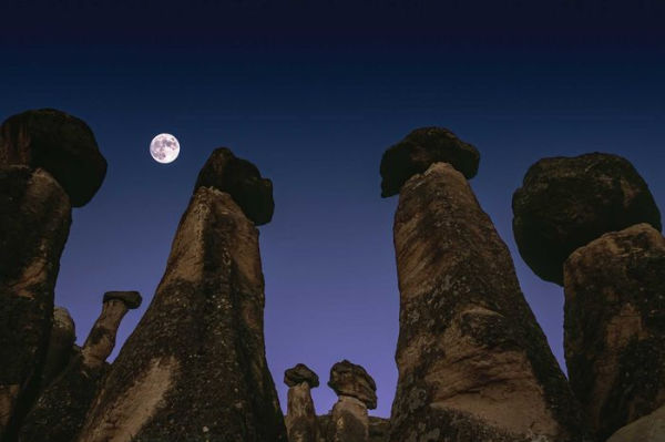 Night on Earth: Photographs by Art Wolfe