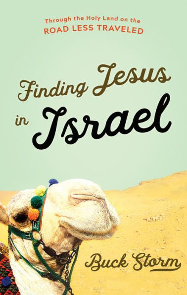 Finding Jesus Israel: Through the Holy Land on Road Less Traveled