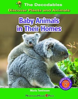 Baby Animals Their Homes