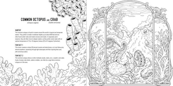 Predators: A Smithsonian Coloring Book