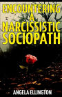 Encountering a Narcissistic Sociopath