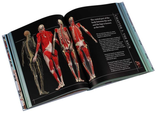 Anatomy 360: The Ultimate Visual Guide to the Human Body