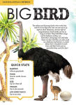 Alternative view 5 of Eyes On Animals