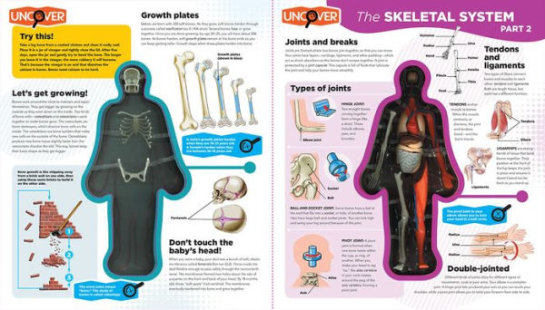 Uncover the Human Body