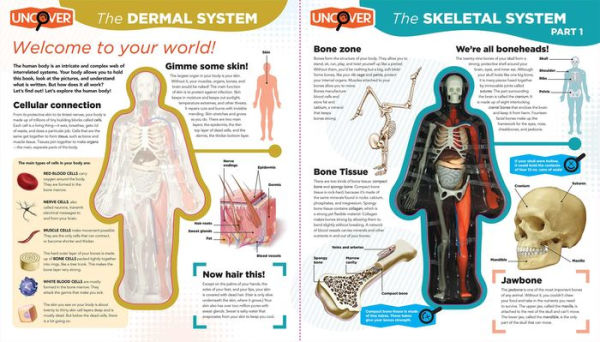 Uncover the Human Body