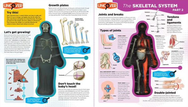 Uncover the Human Body