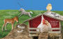 Alternative view 3 of BABY FARM ANIMALS!