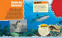 Alternative view 2 of Discovery Shark Guidebook