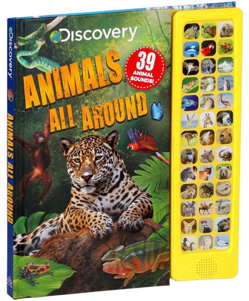 Discovery: Animals All Around