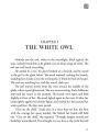 Alternative view 4 of Jim Henson's Labyrinth: The Novelization