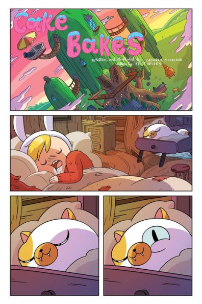 Adventure Time: Fionna & Cake