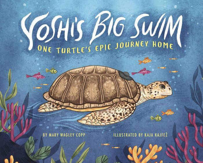 Yoshi's Big Swim: One Turtle's Epic Journey Home by Mary Wagley Copp ...