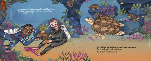 Yoshi's Big Swim: One Turtle's Epic Journey Home