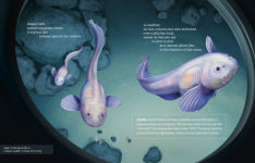 Alternative view 14 of Deep, Deep Down: The Secret Underwater Poetry of the Mariana Trench