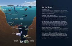 Alternative view 22 of Deep, Deep Down: The Secret Underwater Poetry of the Mariana Trench