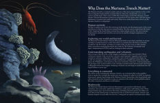 Alternative view 24 of Deep, Deep Down: The Secret Underwater Poetry of the Mariana Trench