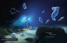 Alternative view 3 of Deep, Deep Down: The Secret Underwater Poetry of the Mariana Trench