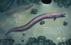 Alternative view 9 of Deep, Deep Down: The Secret Underwater Poetry of the Mariana Trench
