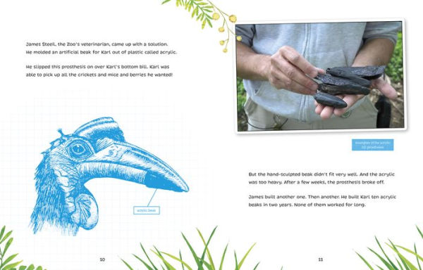 Karl's New Beak: 3-D Printing Builds a Bird a Better Life