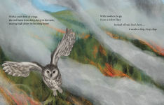 Alternative view 4 of Fire Flight: A Wildfire Escape