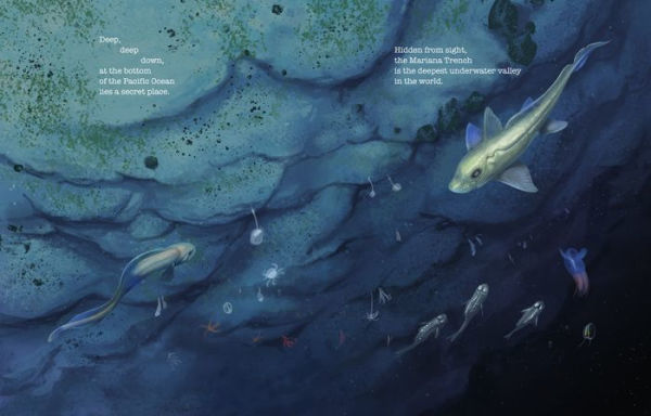 Deep, Deep Down: The Secret Underwater Poetry of the Mariana Trench