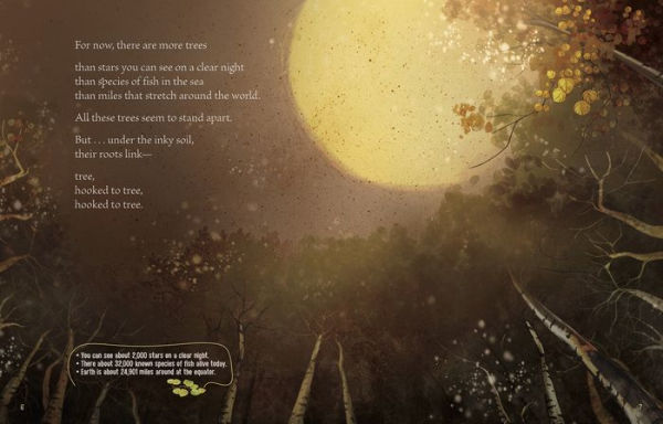 Pando: A Living Wonder of Trees