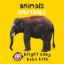 Bilingual Bright Baby Animals: Animales