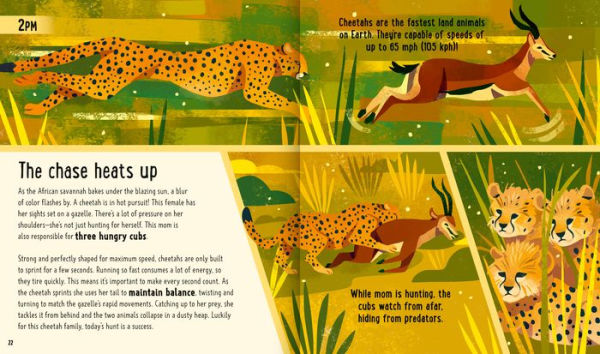 Big Cats (A Day the Life): What Do Lions, Tigers, and Panthers Get up to All Day?