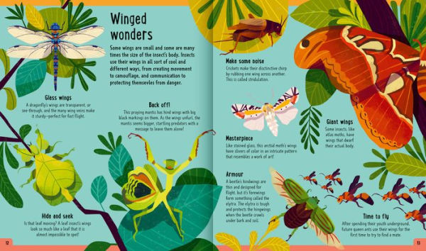 Bugs (A Day in the Life): What Do Bees, Ants, and Dragonflies Get up to All Day?