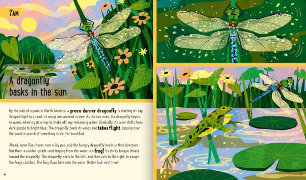 Bugs (A Day in the Life): What Do Bees, Ants, and Dragonflies Get up to All Day?