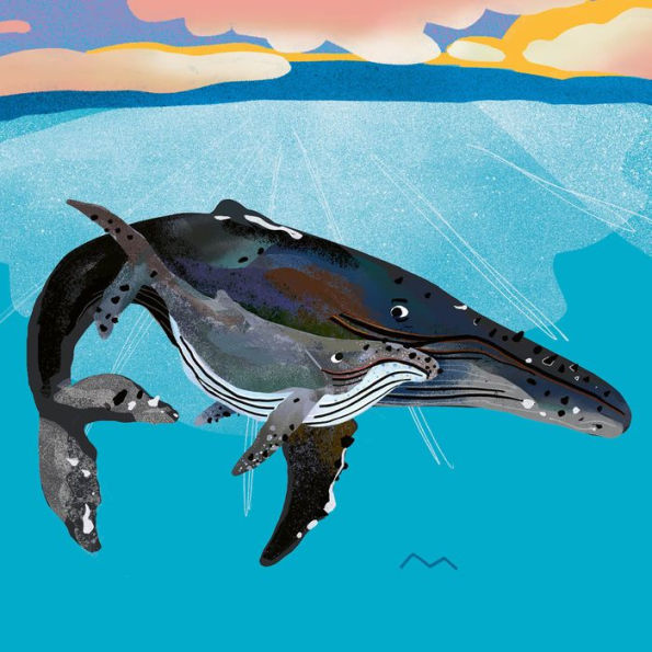 Humpback Whale (Young Zoologist): A First Field Guide to the Singing Giant of Ocean