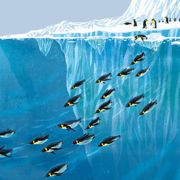 Emperor Penguin (Young Zoologist): A First Field Guide to the Flightless Bird from Antarctica